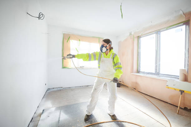 Best Mold Odor Removal Services  in Kremmling, CO