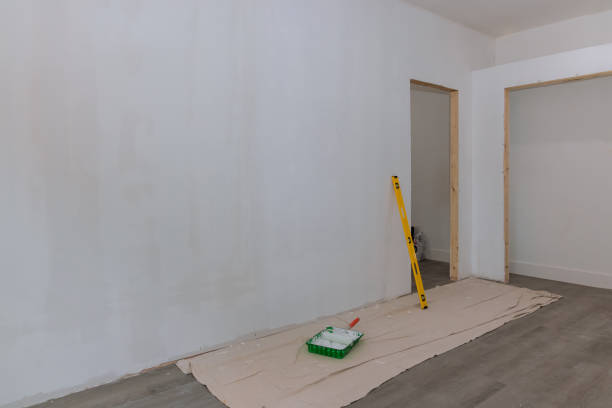 Biohazard Mold Removal in Kremmling, CO