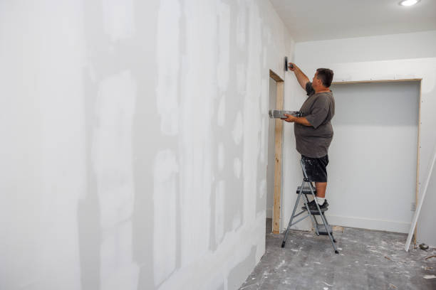 Best Biohazard Mold Removal  in Kremmling, CO