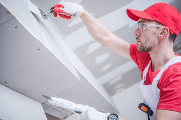 Best Post-Construction Mold Inspection  in Kremmling, CO