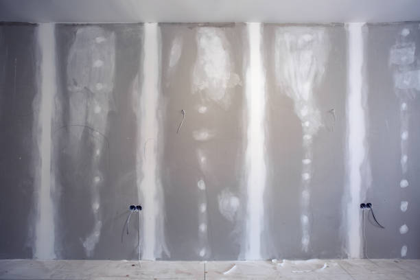 Best Black Mold Removal  in Kremmling, CO